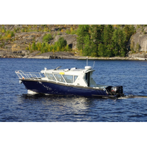 Катер Trident Solo 900